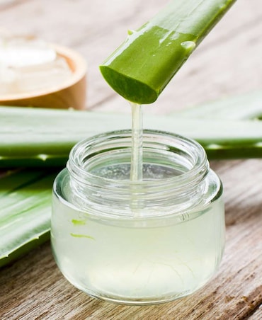 Health Benefits Of Drinking Aloe Vera Juice