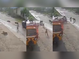 7 साल की बच्ची को करीब एक दर्जन आवारा कुत्तों ने घेरकर नोंचा, तस्वीरें देखकर सहम जाएंगे 7 साल की बच्ची को करीब एक दर्जन आवारा कुत्तों ने घेरकर नोंचा, तस्वीरें देखकर सहम जाएंगे