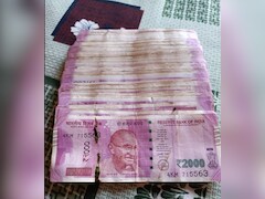 दिवाली सफाई के दौरान पुराने DTH के अंदर से मिला खजाना! परिवार की हो गई बल्ले-बल्ले, बोले- भगवान ने दिया बोनस