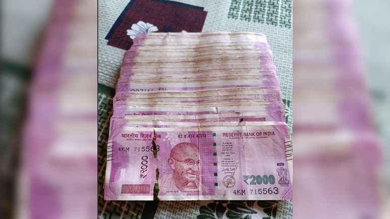 दिवाली सफाई के दौरान पुराने DTH के अंदर से मिला खजाना! परिवार की हो गई बल्ले-बल्ले, बोले- भगवान ने दिया बोनस
