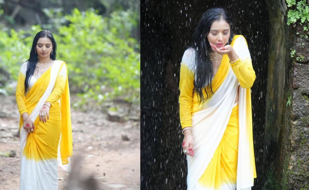 Tanya Mittal posing in a yellow saree Tanya Mittal posing in a yellow saree