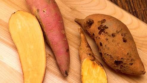 सर्दियों में शकरकंद क्यों है जरूरी? जानिए इसके स्वास्थ्य लाभ