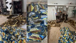 Duplicate Pan Masala: पान मसाला खाने के शौकीनों के लिए आई बुरी खबर, यहां बनाया जा रहा था खतरनाक गुटखा
