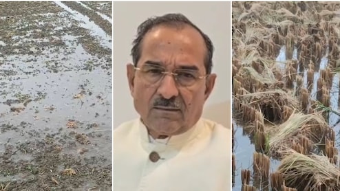 Rajasthan Weather Update: राजस्थान में बेमौसम बारिश से नुकसान हुआ तो मिलेगा मुआवजा! मदन राठौड़ ने किसानों को दी 'गारंटी'