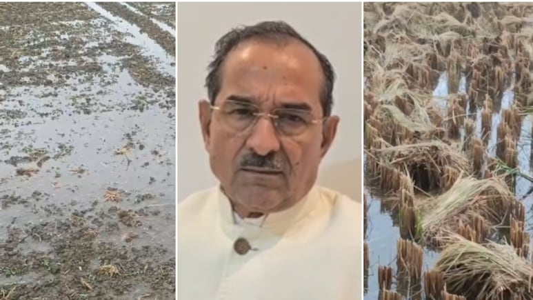 Rajasthan Weather Update: राजस्थान में बेमौसम बारिश से नुकसान हुआ तो मिलेगा मुआवजा! मदन राठौड़ ने किसानों को दी 'गारंटी' Rajasthan Weather Update: राजस्थान में बेमौसम बारिश से नुकसान हुआ तो मिलेगा मुआवजा! मदन राठौड़ ने किसानों को दी 'गारंटी'