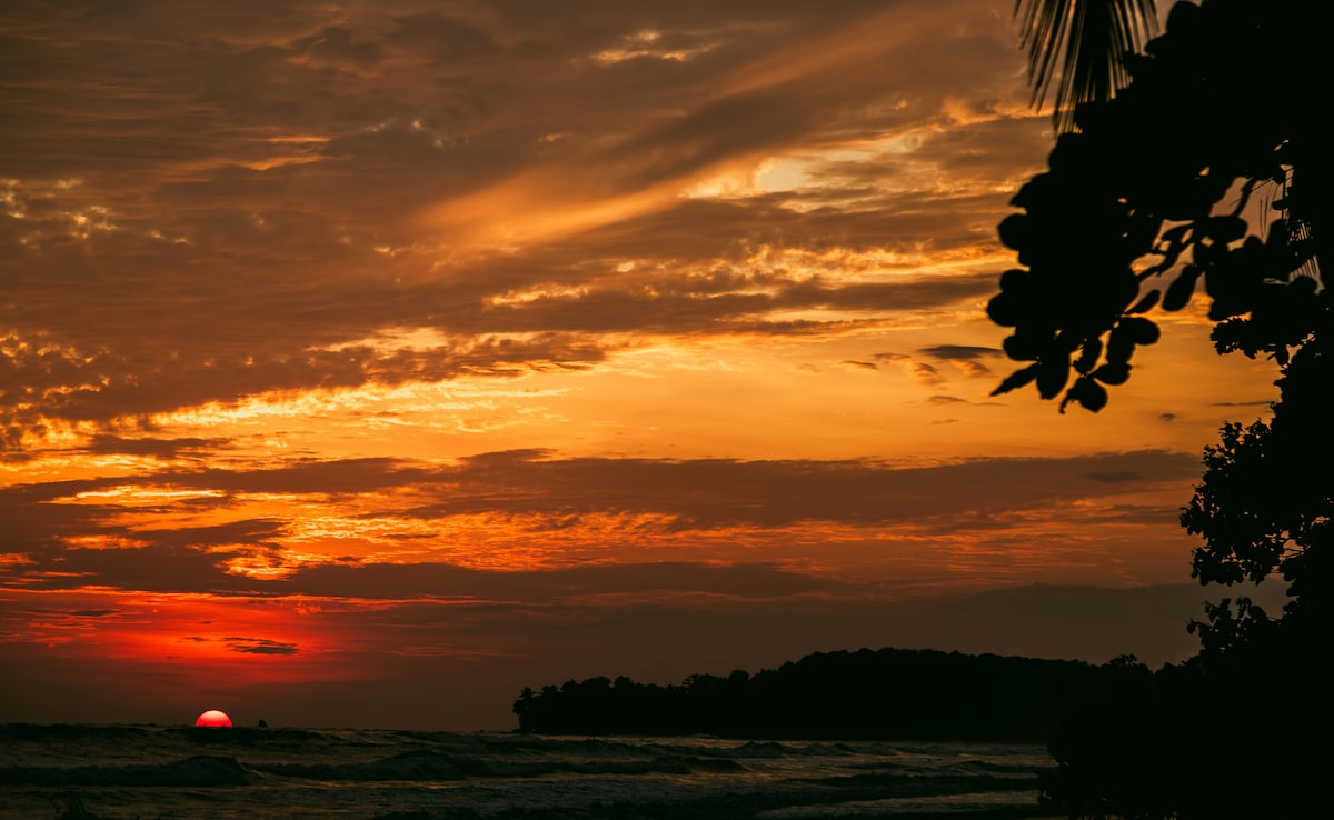 Latest and Breaking News on NDTV Latest and Breaking News on NDTV