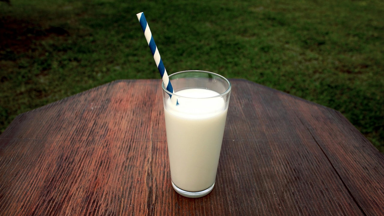 Value-for-Money Deals On Milk and Dairy Products On Flipkart Grocery