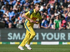Adam Zampa Surpasses Steve Waugh To Achieve Huge ODI Feat For Australia