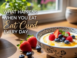 What Happens To Your Body When You Eat Curd Every Day For A Month What Happens To Your Body When You Eat Curd Every Day For A Month