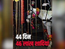 44 दिनों में भारत में होंगी 46 लाख शादियां, 6.5 लाख करोड़ रुपये के बिजनेस का अनुमान 44 दिनों में भारत में होंगी 46 लाख शादियां, 6.5 लाख करोड़ रुपये के बिजनेस का अनुमान