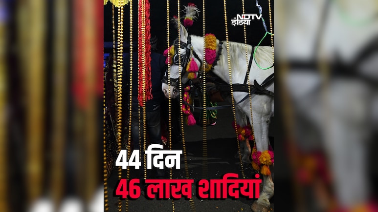 44 दिनों में भारत में होंगी 46 लाख शादियां, 6.5 लाख करोड़ रुपये के बिजनेस का अनुमान 44 दिनों में भारत में होंगी 46 लाख शादियां, 6.5 लाख करोड़ रुपये के बिजनेस का अनुमान