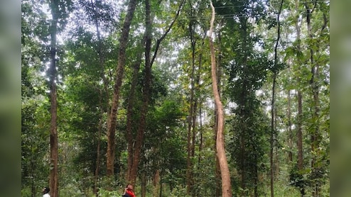 दिवाली पर 400 गांवों में ब्लैकआउट! लोगों का गुस्सा देख जागा विभाग 