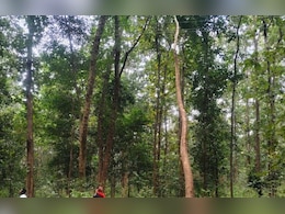 दिवाली पर 400 गांवों में ब्लैकआउट! लोगों का गुस्सा देख जागा विभाग  दिवाली पर 400 गांवों में ब्लैकआउट! लोगों का गुस्सा देख जागा विभाग
