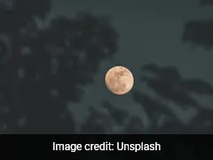 Beaver Moon: All About The Full Moon Of November 2025