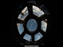 Microbes Vital For Human Health Show Resilience In Spaceflight, Study Finds Microbes Vital For Human Health Show Resilience In Spaceflight, Study Finds