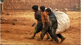 मानव तस्करी और बंधुआ मज़दूरी के खिलाफ राज्य रिपोर्ट जारी, जड़ से उखाड़ने का रोडमैप बना रहा रक्षा निदेशालय