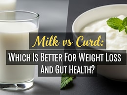 Milk vs Curd: Which Is Better For Weight Loss And Gut Health Milk vs Curd: Which Is Better For Weight Loss And Gut Health