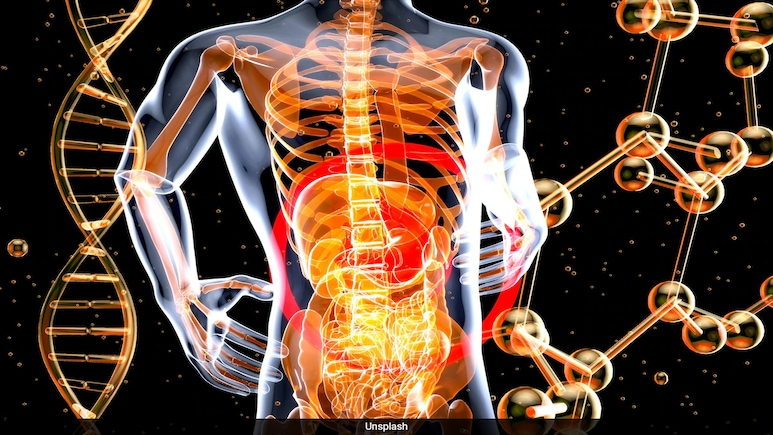 'Disease Of Older Adults': Diverticulitis Cases Surge Among Americans 'Disease Of Older Adults': Diverticulitis Cases Surge Among Americans