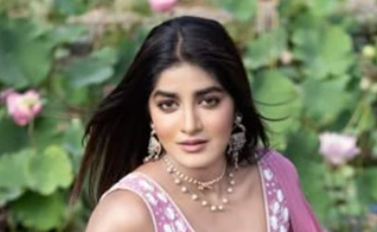 Telugu Actor Dimple Hayathi, Husband Charged With Harassing And Assaulting Househelp: Police