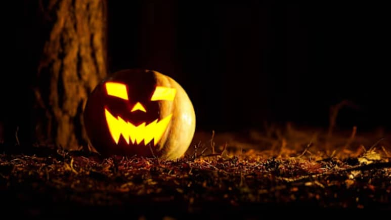 क्या होता है Halloween का मतलब, जानें कहां से आया ये डरावना शब्द क्या होता है Halloween का मतलब, जानें कहां से आया ये डरावना शब्द