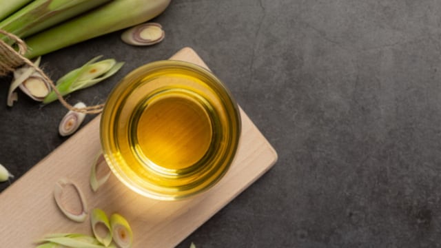 Dengue Prevention: How Citronella Oil Can Help Protect Your Family