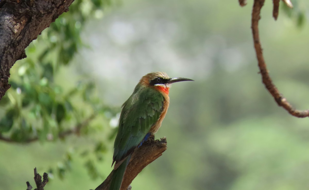 Latest and Breaking News on NDTV Latest and Breaking News on NDTV