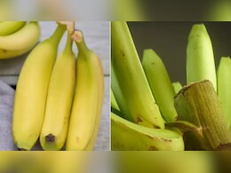 Banana For Weight Loss: पके या कच्चे केले, वजन घटाने के लिए कौन सा ज्यादा फायदेमंद Banana For Weight Loss: पके या कच्चे केले, वजन घटाने के लिए कौन सा ज्यादा फायदेमंद
