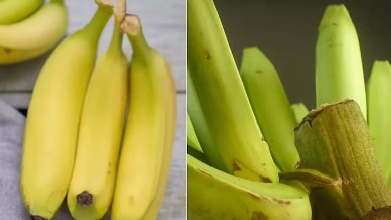 Banana For Weight Loss: पके या कच्चे केले, वजन घटाने के लिए कौन सा ज्यादा फायदेमंद Banana For Weight Loss: पके या कच्चे केले, वजन घटाने के लिए कौन सा ज्यादा फायदेमंद