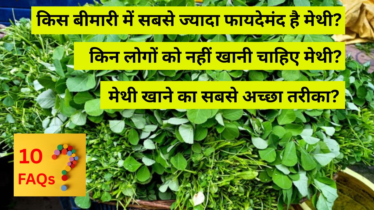 किन लोगों को नहीं खानी चाहिए मेथी? मेथी के पत्तों के औषधीय फायदे, किस बीमारी में सबसे ज्यादा फायदेमंद? 10 FAQs