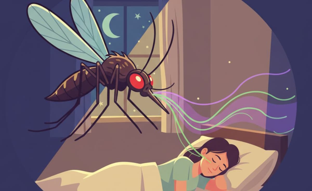 मच्छरों को भगाने के लिए ट्राई करें ये DIY नुस्खे, बिना किसी मशीन या अगरबत्ती के छू मंतर हो जाएंगे...