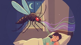 मच्छरों को भगाने के लिए ट्राई करें ये DIY नुस्खे, बिना किसी मशीन या अगरबत्ती के छू मंतर हो जाएंगे...