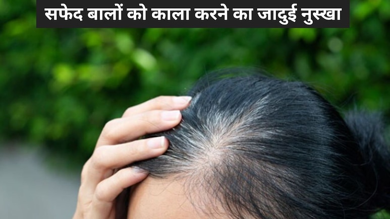 सफेद बालों पर मेहंदी लगा-लगाकर थक गए हैं, तो जान लें उन्हें नेचुरल काला करने का रामबाण घरेलू उपाय सफेद बालों पर मेहंदी लगा-लगाकर थक गए हैं, तो जान लें उन्हें नेचुरल काला करने का रामबाण घरेलू उपाय
