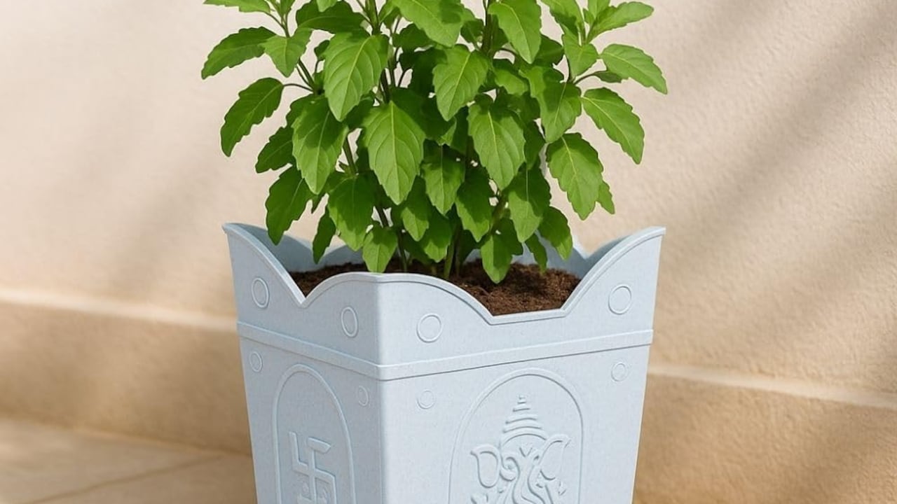 Latest and Breaking News on NDTV Latest and Breaking News on NDTV