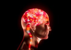 OpenAI के सीईओ की इंसान का दिमाग पढ़ने की तैयारी, एलन मस्क को मिलेगी सीधी टक्कर