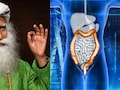Intestine Cleanse Therapy: आतड्यांमधील घाण सहजरित्या बाहेर कशी निघेल? Sadhguru यांनी सांगितले 3 रामबाण उपाय