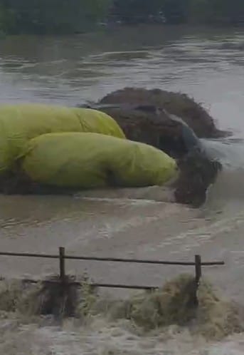 Latest and Breaking News on NDTV Latest and Breaking News on NDTV