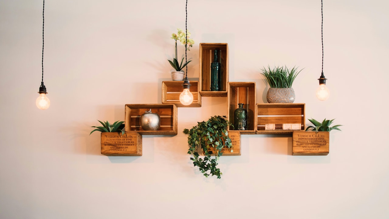 Home Decor Bestsellers You Will See Everywhere After Amazon Great Indian Festival