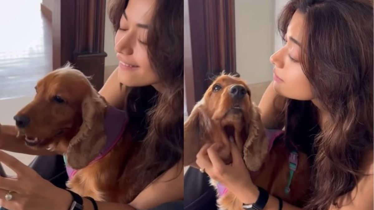 Rashmika Mandanna Shares First Glimpse Of Diamond Ring After Engagement To Vijay Deverakonda. Watch
