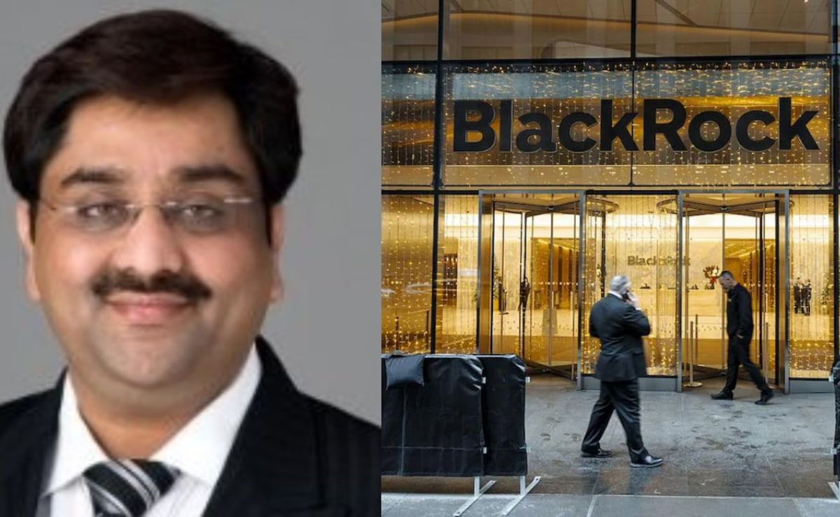 Indian-Origin CEO Stings BlackRock With "Breathtaking" $500-Million Fraud