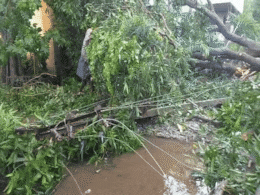 खंभे उखड़े, छतें उड़ीं, पेड़ बिखरे... मोंथा तूफान ने आंध्र में मचाई कितनी तबाही,  देखें 5 खौफनाक वीडियो खंभे उखड़े, छतें उड़ीं, पेड़ बिखरे... मोंथा तूफान ने आंध्र में मचाई कितनी तबाही,  देखें 5 खौफनाक वीडियो