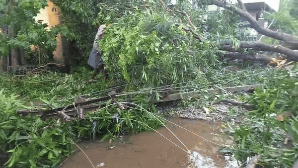 खंभे उखड़े, छतें उड़ीं, पेड़ बिखरे... मोंथा तूफान ने आंध्र में मचाई कितनी तबाही,  देखें 5 खौफनाक वीडियो खंभे उखड़े, छतें उड़ीं, पेड़ बिखरे... मोंथा तूफान ने आंध्र में मचाई कितनी तबाही,  देखें 5 खौफनाक वीडियो