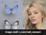 New Butterfly Species 'Iryna's Azure' Named After Murdered Ukrainian Refugee New Butterfly Species 'Iryna's Azure' Named After Murdered Ukrainian Refugee