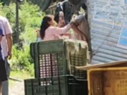 Video: Uttarkashi Woman Beats Man With Slipper For Allegedly Misbehaving With Her Daughter