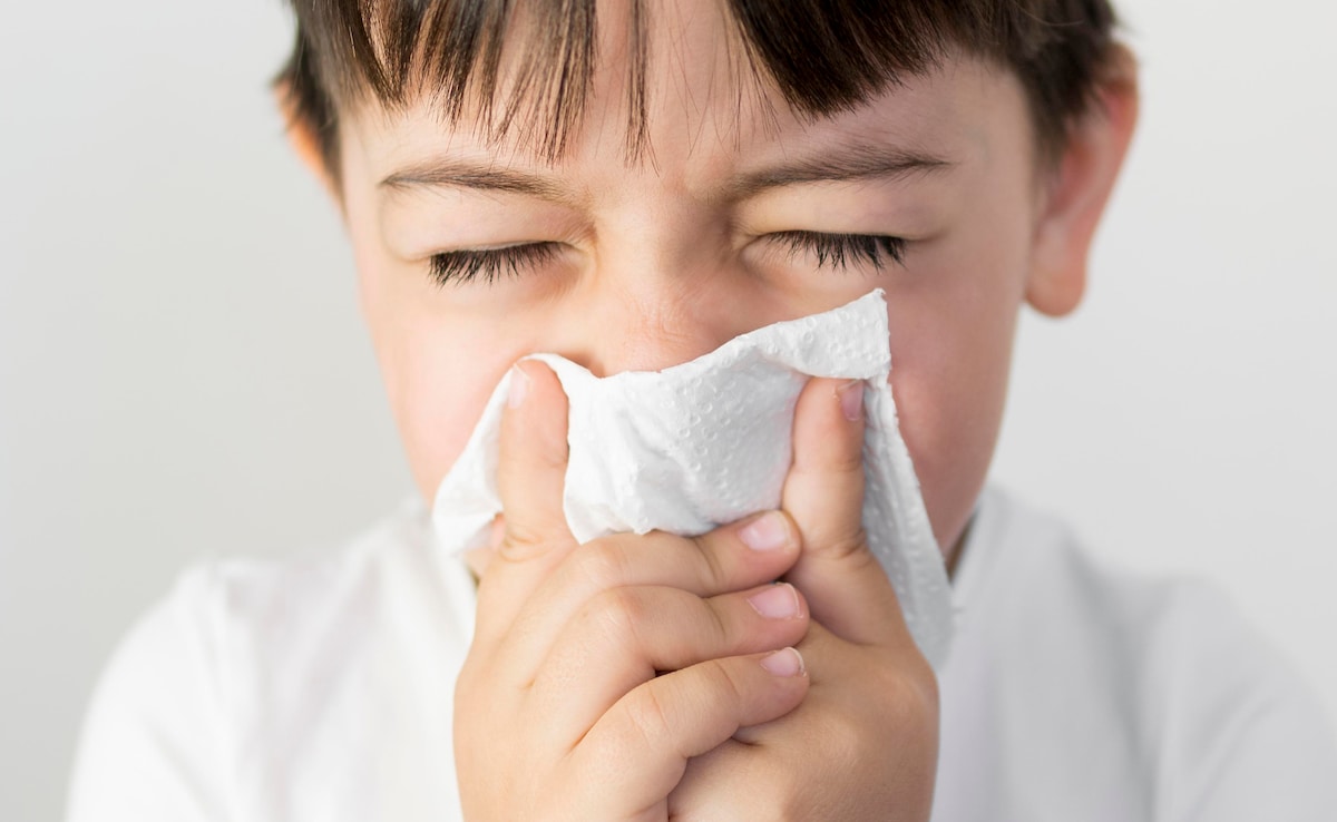 Latest and Breaking News on NDTV