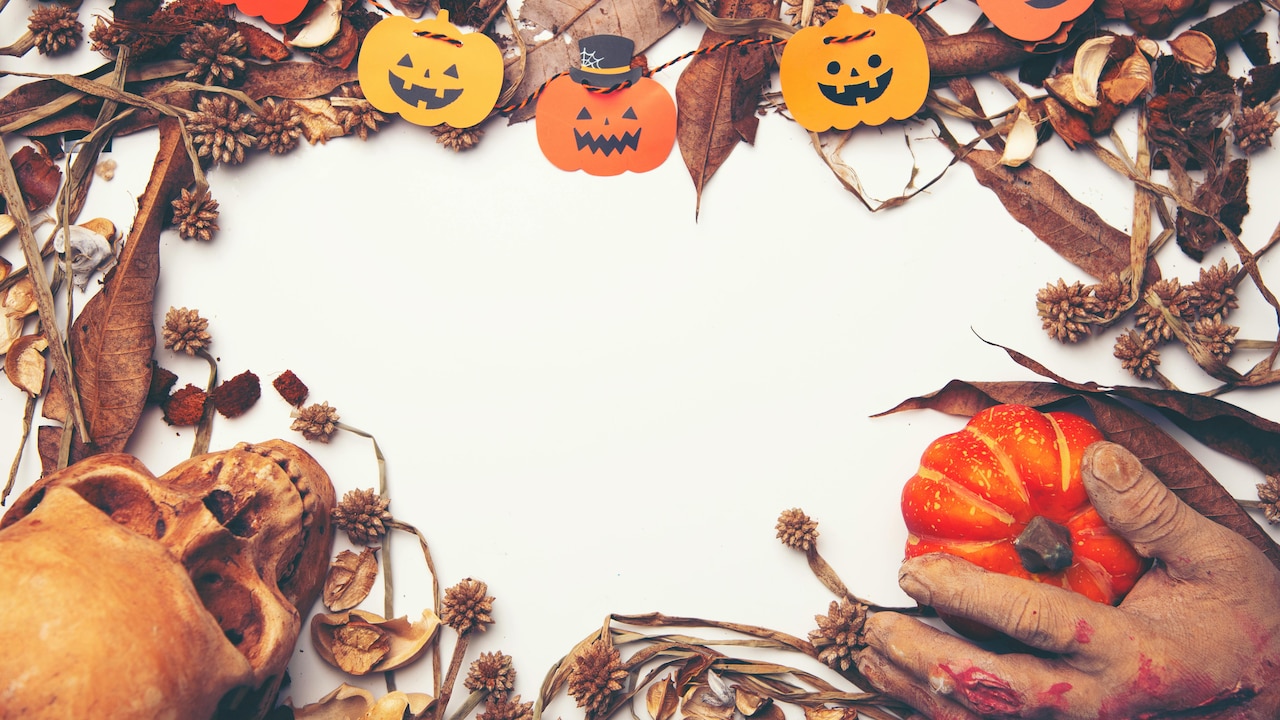 Halloween 2025 party essentials to make your home spooky and fun