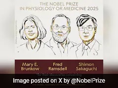 Nobel In Medicine Awarded For "Discoveries On Peripheral Immune Tolerance" Nobel In Medicine Awarded For "Discoveries On Peripheral Immune Tolerance"