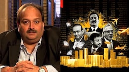 Why Mehul Choksi Went To Court Against Netflix Series <i>Bad Boy Billionaires</i> In 2020