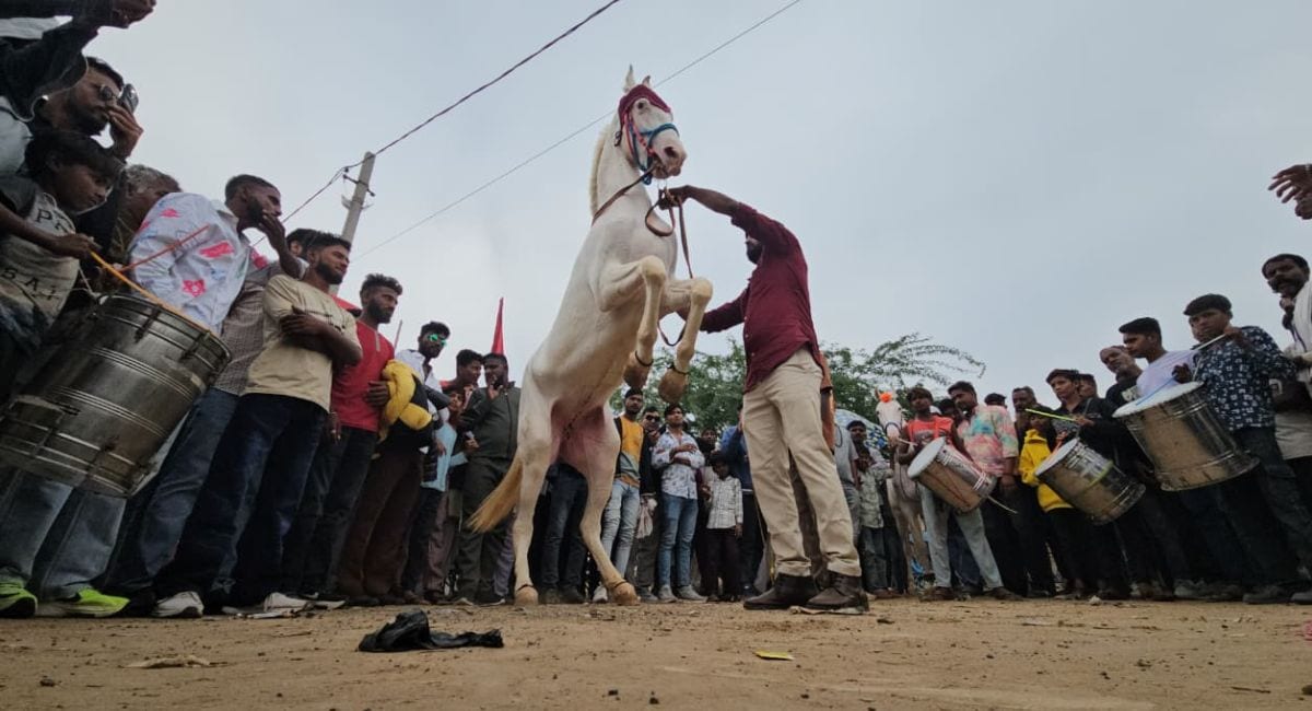 आज ध्वजारोहण के साथ होगा पुष्कर मेला 2025 का शुभारंभ, घोड़े और ऊंट करेंगे  नृत्य | Pushkar Fair 2025 inaugurated today flag hoisting horses camels  perform dance