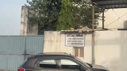 Kaysons फार्मा की फैक्ट्री पर सेंट्रल टीम की रेड... 7 घंटे चली जांच, दस्तावेज और सैंपल ले गए साथ