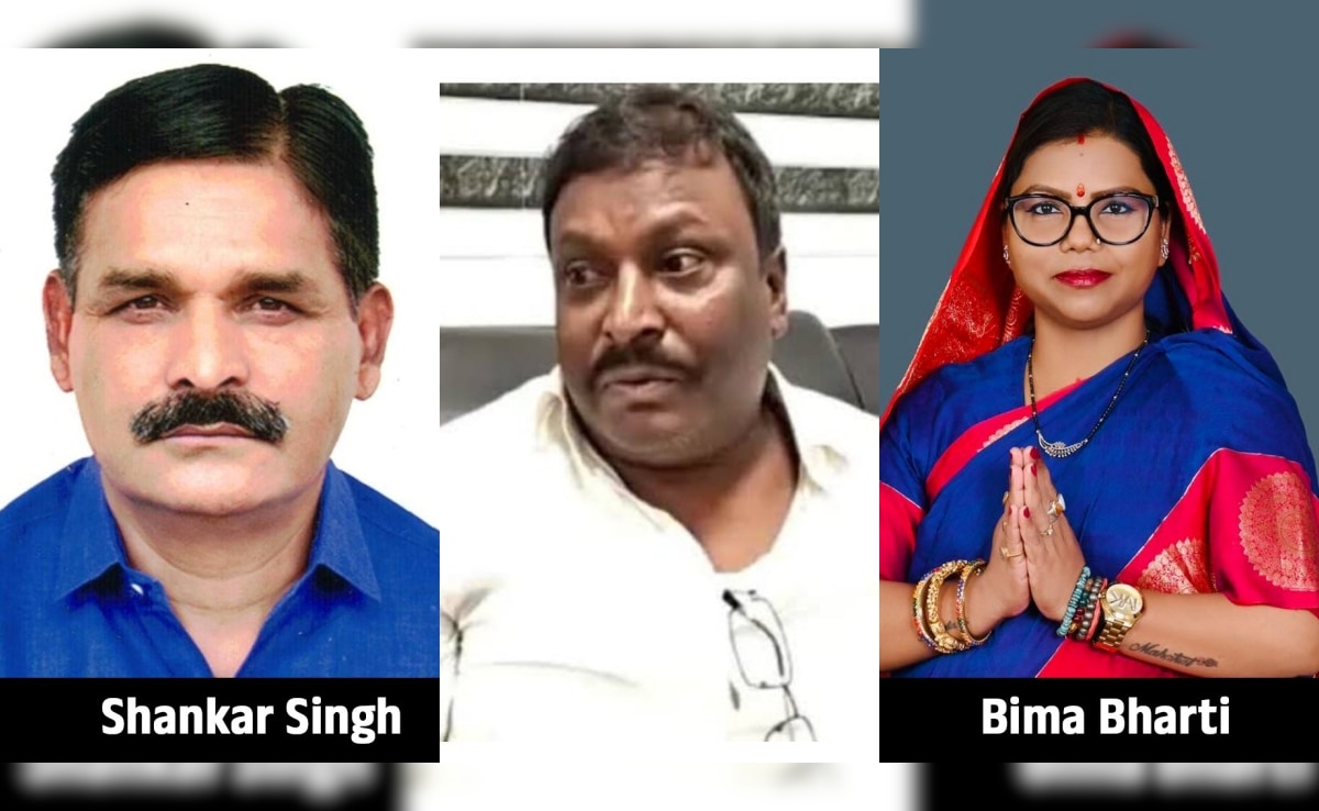 बिहार चुनाव : अपराध की नर्सरी से राजनीति की पाठशाला तक... इस बार रुपौली की जनता किसे देगी अपना आशीर्वाद